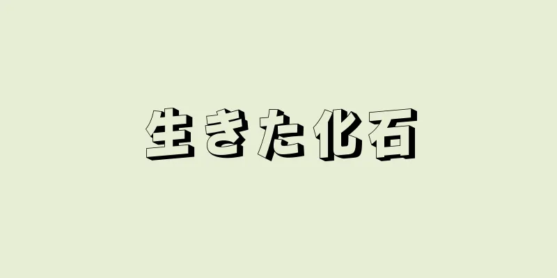 生きた化石