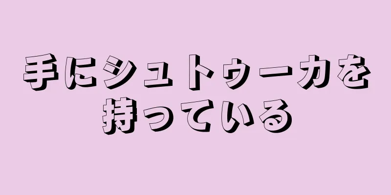 手にシュトゥーカを持っている