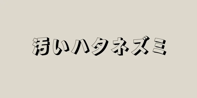 汚いハタネズミ