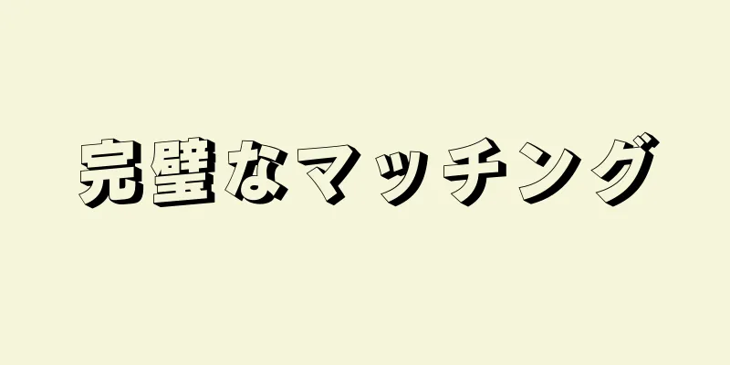 完璧なマッチング
