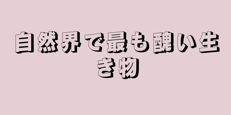 自然界で最も醜い生き物