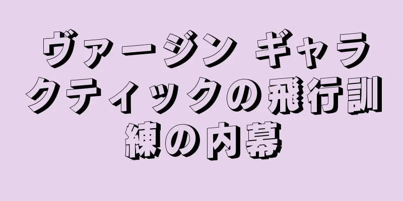 ヴァージン ギャラクティックの飛行訓練の内幕
