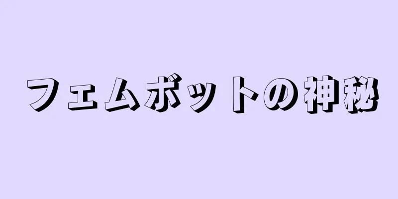 フェムボットの神秘