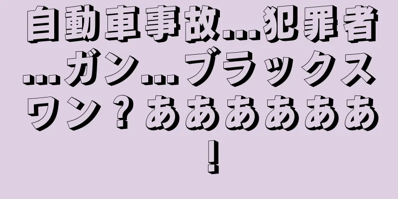 自動車事故...犯罪者...ガン...ブラックスワン？ああああああ！