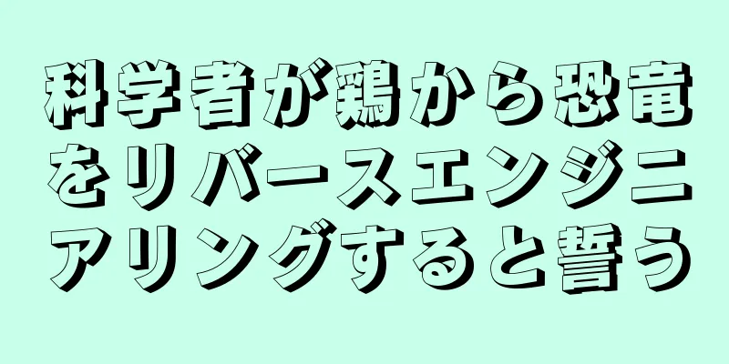 科学者が鶏から恐竜をリバースエンジニアリングすると誓う