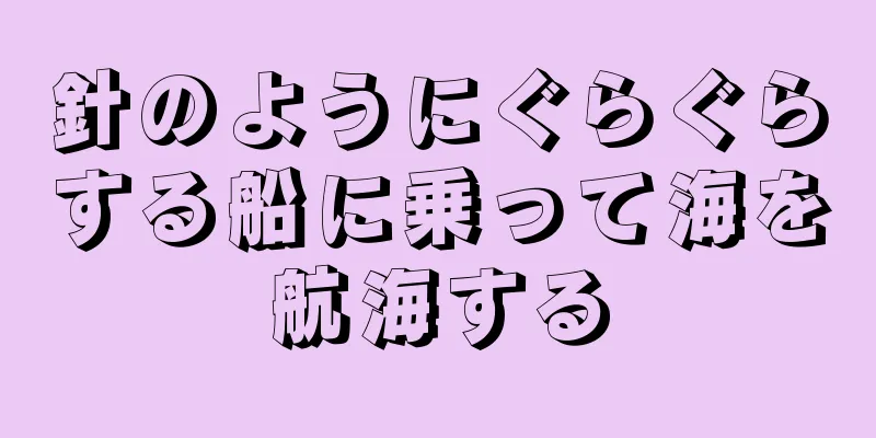 針のようにぐらぐらする船に乗って海を航海する