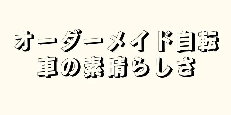オーダーメイド自転車の素晴らしさ